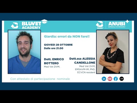 Video: Discussione: alcuni rifugi / rimedi rendono troppo difficile l'adozione di animali domestici?