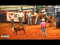 Tyler Greer BA Roping