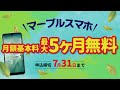 マーブルスマホ 5カ月無料キャンペーン