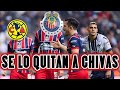 ACABAN DE QUITARLE ESTE JUGADOR A LAS CHIVAS DEL GUADALAJARA Y ESTE ES SU NUEVO EQUIPO ES UNA LOCURA