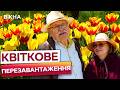МІСЦЕ СИЛИ ДЛЯ УКРАЇНЦІВ! Як Добропарк став символом відпочинку та романтики