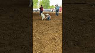 This is definitely the cutest goat ribbon puller we’ve ever seen! 🤠 #cowboylife #cowboy #rodeo