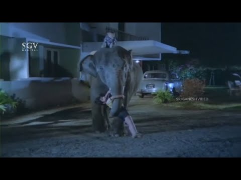 Elephant and Monkey Kidnaps Dr. Vishnuvardhan's Son at Night | Mahalakshmi | Jayasimha Movie