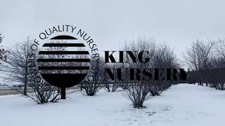 King Nursery Introduction
