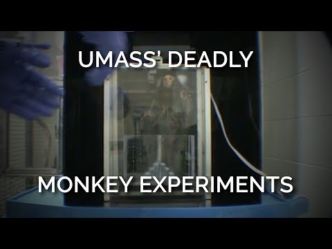 UMass’ Deadly Monkey Experiments