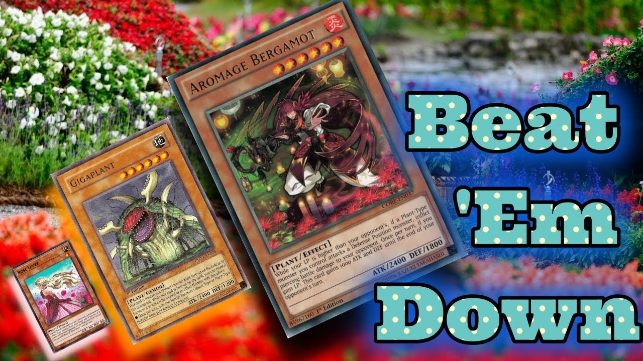 "Every Flower Blooms In Its Own Time" !! Aromage YuGiOh Duel Links F2P w/ Gilfer
