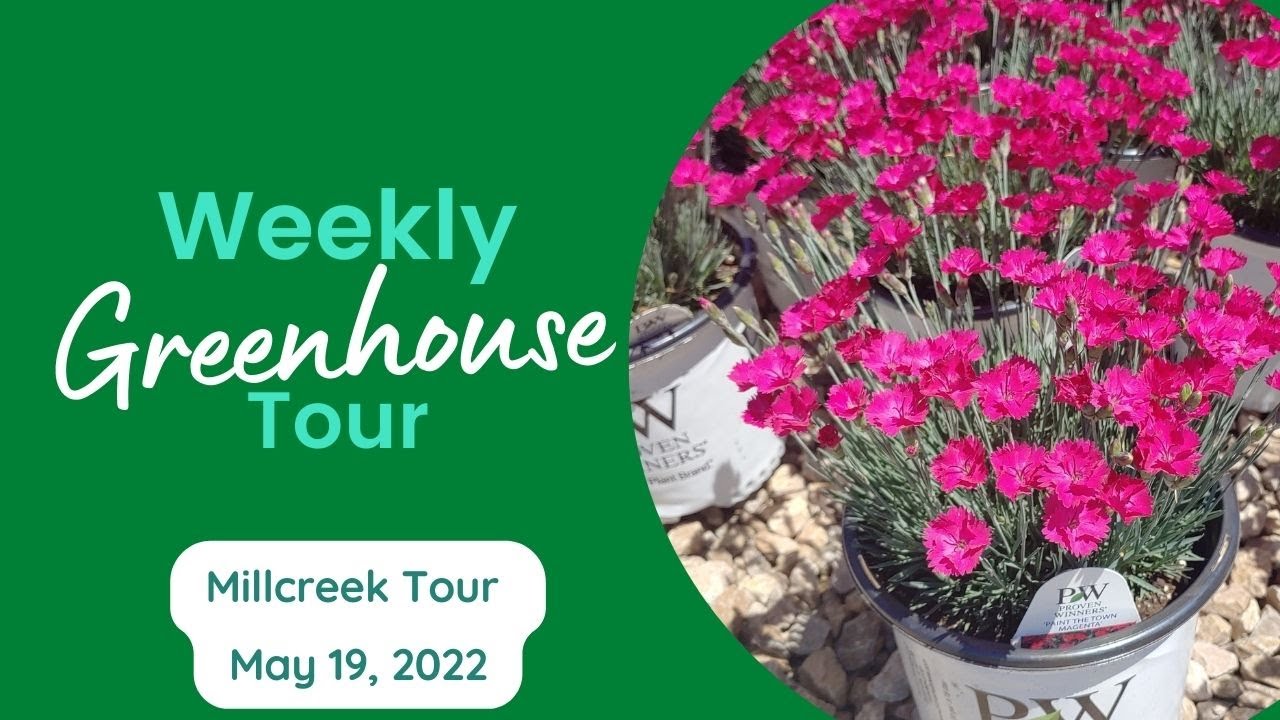 Millcreek Gardens Greenhouse Tour May 19, 2022