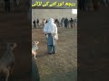 ریچھ اور کتے کی لڑائی Dog Azadvlogs Like Azaadvlogs Subscribe ریچھ اور کتے کی لڑائی Dog Azadvlogs Like Azaadvlogs Subscribe