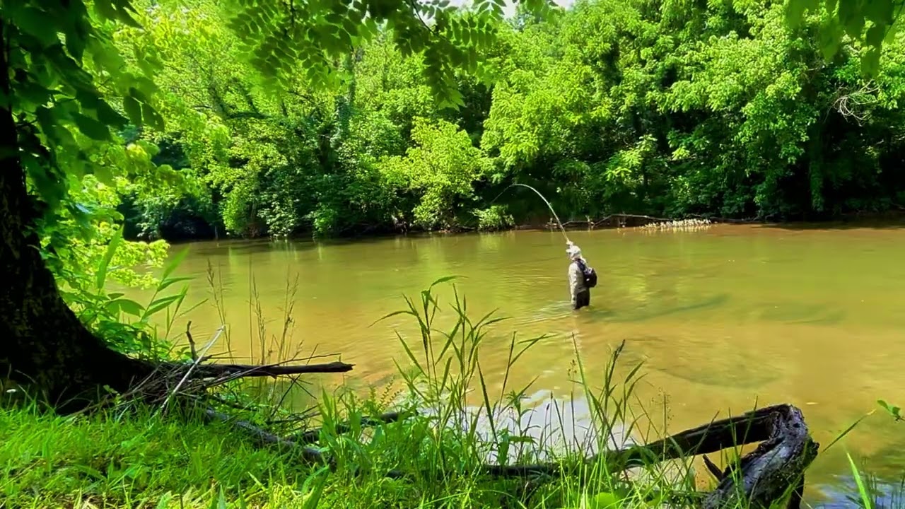 20inch smallmouth Fly Fishing