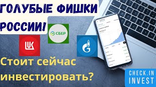 Голубые фишки РФ. Какие акции купить? Инвестиции.