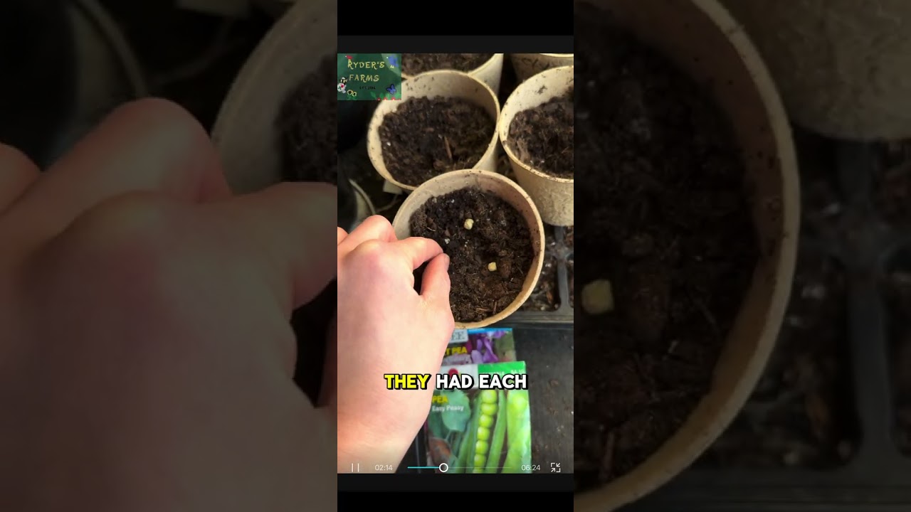Start THESE SEEDS indoors NOW to be able to get an early harvest