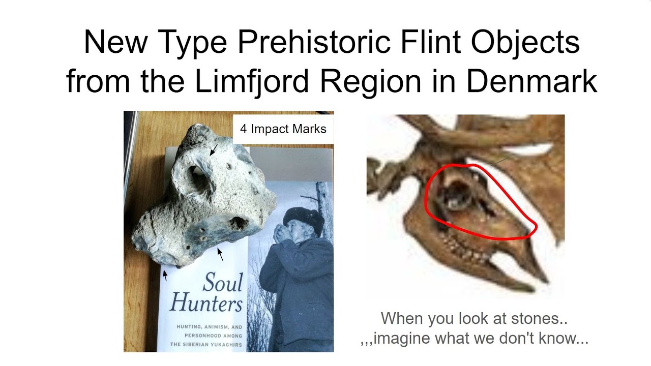 New Type Prehistoric Flint Object Families from the Limfjord Region in Denmark