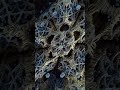 #trippy #fractalvisuals #royksoppremix #dataversemusic