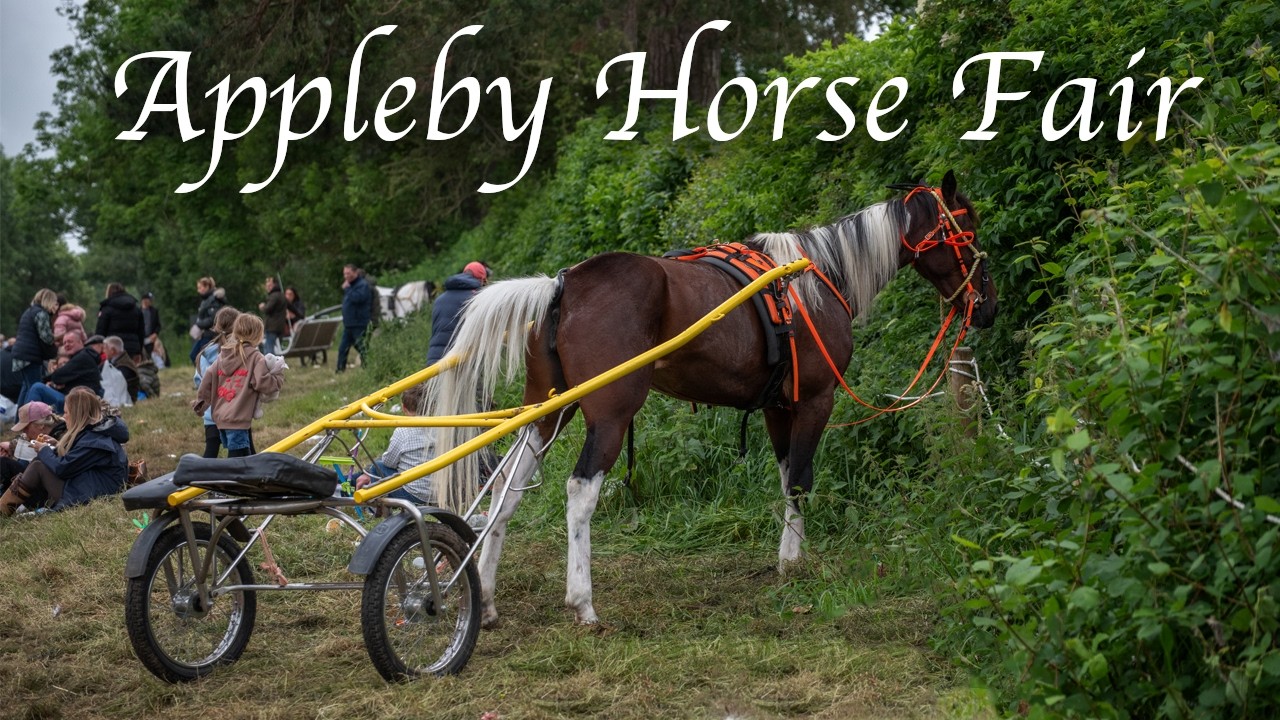 Appleby Horse Fair 2026 | A Day at Europe's Biggest Gypsy