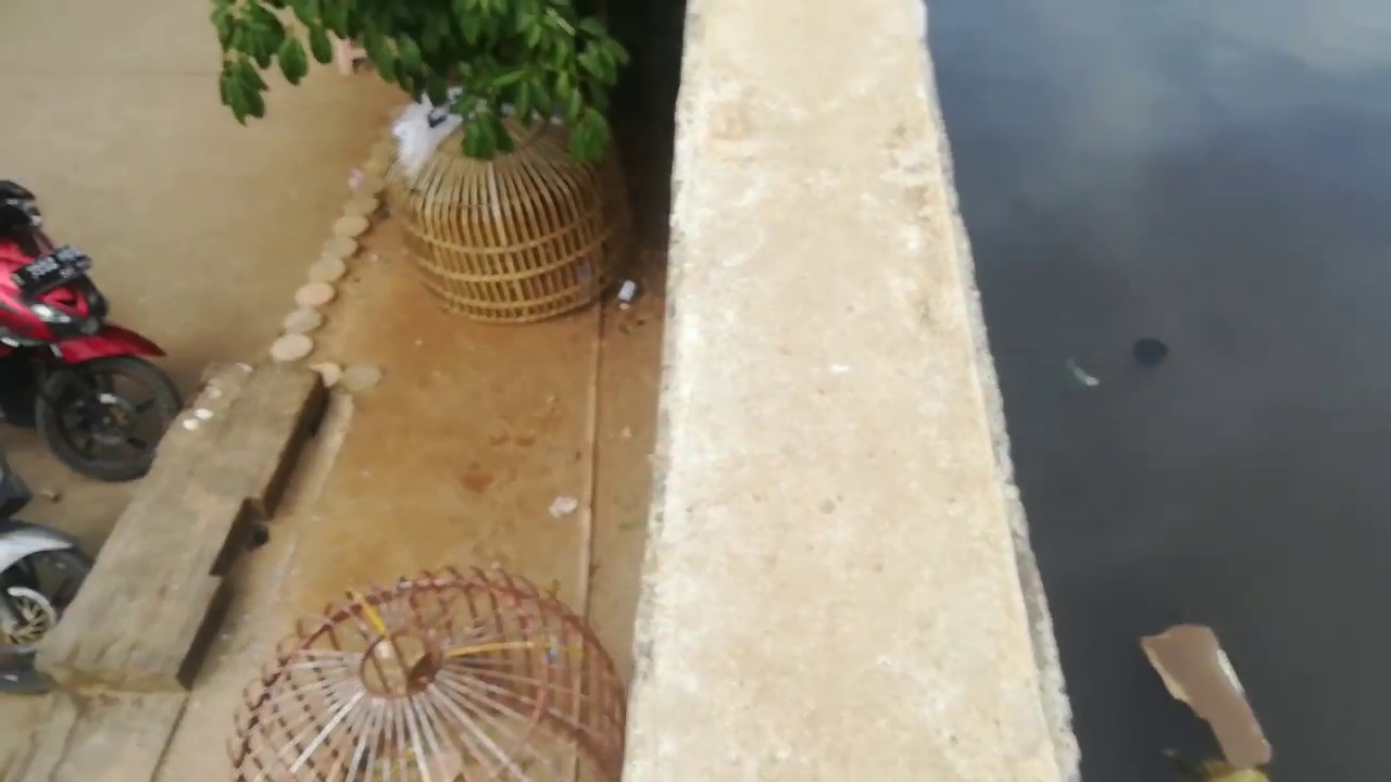 New dyke against (relative) sea level rise: Jakarta, Indonesia (I)