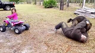 German Shepherd Protects Babies and Kids Compilation 👶🐕 The best Protection Dogs