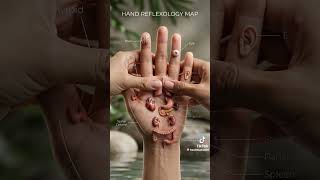 Hand Reflexology Map| #hand #humanbody #humanorgan #youtubeshorts #shorts