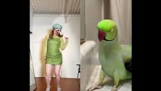 The Ultimate Dance Off - Smac vs Parrot