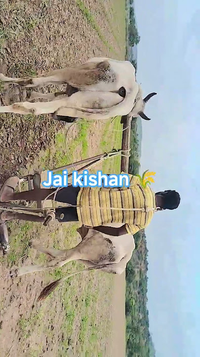 Jai kishan 🌾 jai javan 🇮🇳
