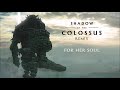 Shadow of the colossus remix  for her soul