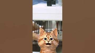 GPTCat explains how chocolate is made