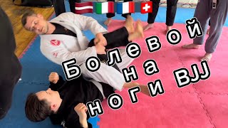 Болевой но ноги в Джиу джитсу #bjj #kneehunter #tutorial