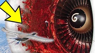 bird engine airplane flys