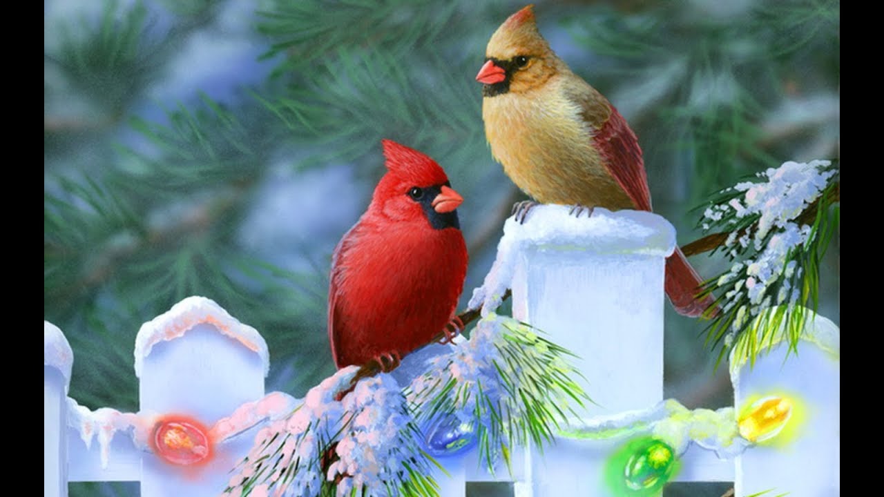 A Redbird Christmaschapter 7 YouTube