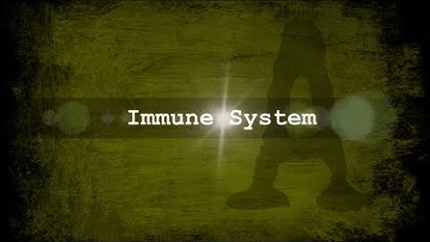 The A-Files, Alcohol A-Z for Alcohol Awareness Month: Immune System
