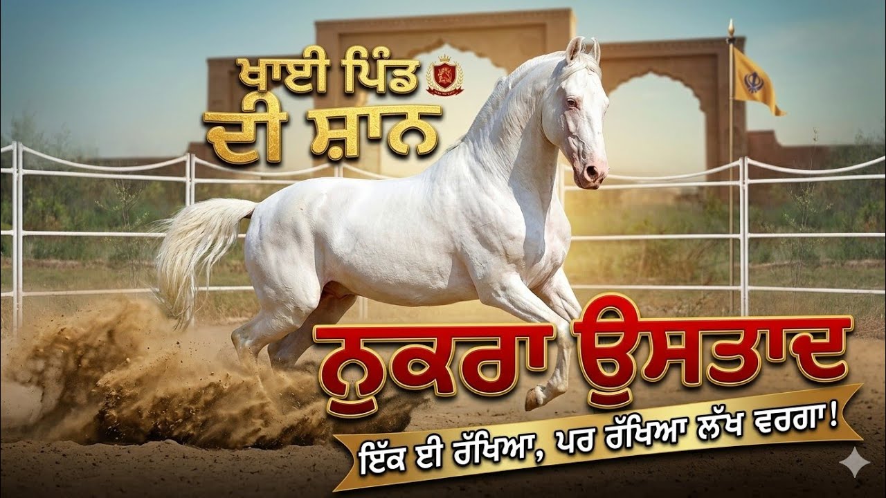 ਖਾਈ ਪਿੰਡ ਦੀ ਸ਼ਾਨ ਡੋਡਾਂ ਆਲੇ ਮਹਾਂਰਾਣੇ ਦਾ ਬੱਚਾ,, ਨੁਕਰਾ ਉਸਤਾਦ, ਪਹਿਲੀ ਵਾਰ ਮਿਲਿਆ ਪਰ ਕਮਾਲ ਮਿਲਿਆ 