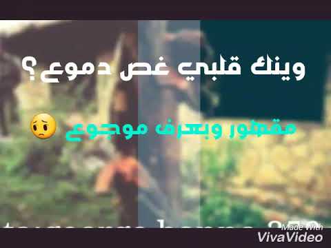 ادهم نابلسي وينك قلبي غص دموع