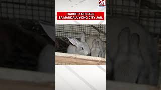 Rabbit for sale sa Mandaluyong City Jail #shorts | 24 Oras Weekend