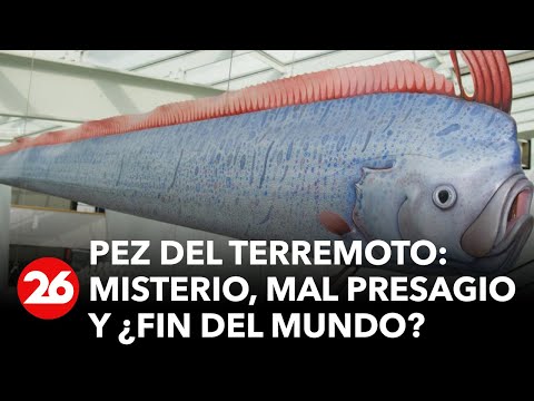 Pez del Terremoto: Misterio, mal presagio y ¿fin del mundo?