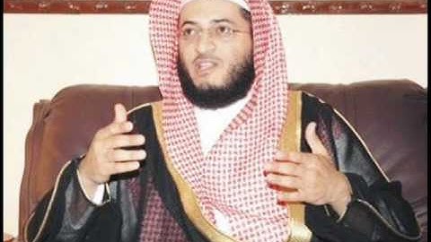 اجمل تلاوه تريح القلب للشيخ هاني الرفاعي