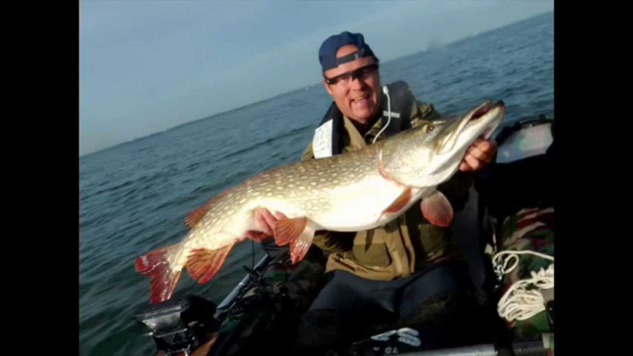 ENORME BROCHET DE 1M21 , la touche et le combat en live ! YouTube