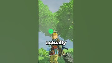 This Zelda Secret Took SEVEN YEARS To Find... #totk #shorts #botw