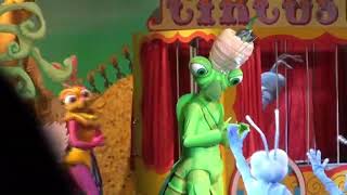 TDR Stage Show 201612 201701 TDR 6 ants