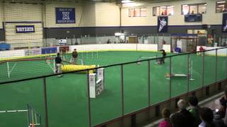 Hops's Agility, ITT, Rd 1 Standard, clean run!