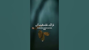 ﴿ هُوَ ٱلْحَيُّ لَا إِلَٰهَ إِلَّا هُوَ ﴾ 🤍✨ | سورة غافر 65-67 | ياسر الدوسري