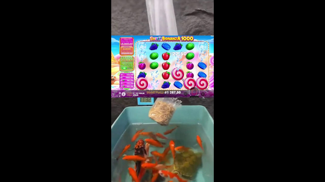 ИГРАЕМ НА СТРИМЕ ШОРТС