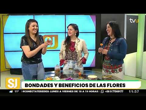El poder de las flores medicinales