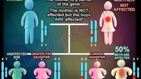 X Linked Recessive Inheritance - Everything You Need To Know - Dr. Nabil Ebraheim