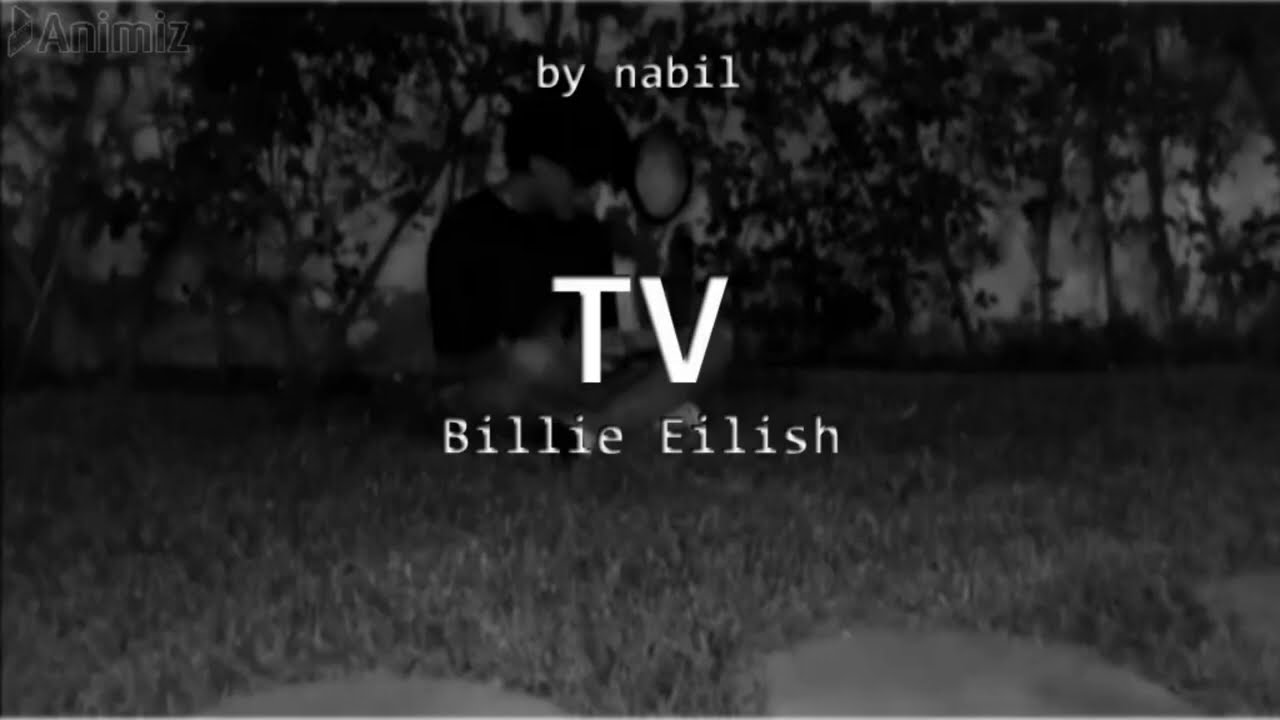 TV by Billie Eilish (cover with kalimba)