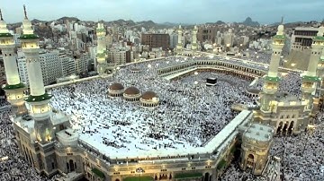 القرآن الكريم : سورة الجاثية Quran Translation: Al-Jathiyah : 45