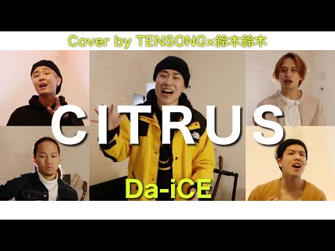 【Covered by TENSONG x 鈴木鈴木】CITRUS / Da-iCE