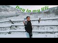 day in my life ~vlogmas day 11~