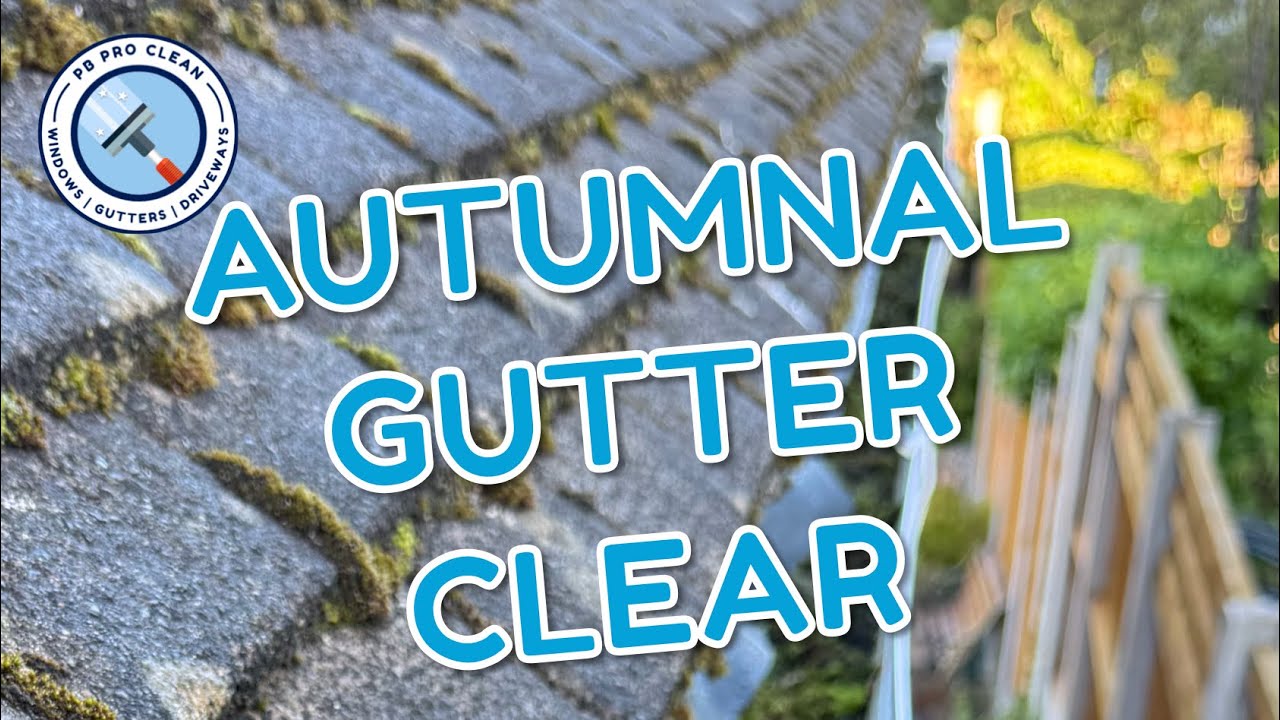 🍁Autumnal Gutter Clearing in Maghull🍂