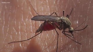 How to protect yourself from bug bites -- and insect-borne diseases