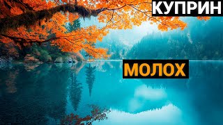 Александр Иванович Куприн: Молох (аудиокнига)