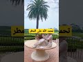 حنان ترك مستمتعة بالمطر